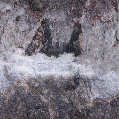 Seamless Rock Surface Texture