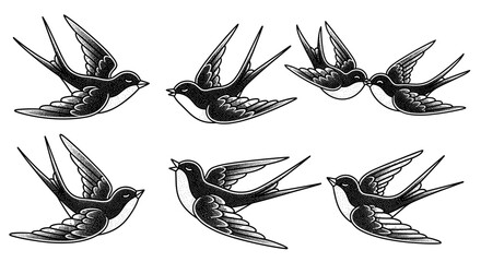 Obraz premium Set of Six Vintage Style Swallow Birds in Flight.
