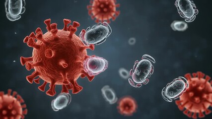 Close up view of microscopic COVID 19 virus particles and bacteria cells - Powered by Adobe