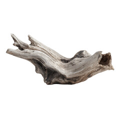 Weathered driftwood branch with intricate texture and natural form