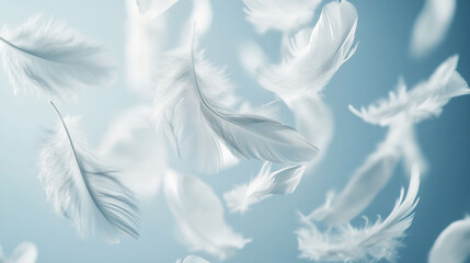 White Feathers Floating Light Blue Background Soft Gentle Calm Serenity