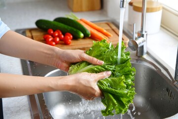 Washing Fresh Lettuce in Kitchen Sink - Healthy Lifestyle, Food Preparation, Organic Produce