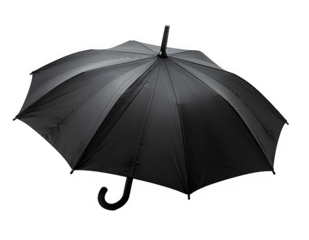 Black Umbrella Fully Open With Curved Handle.
