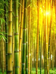 Obraz premium Dense bamboo grove with soft green foliage and golden tones in a serene natural setting