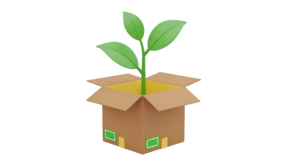 Plant growing in a cardboard box