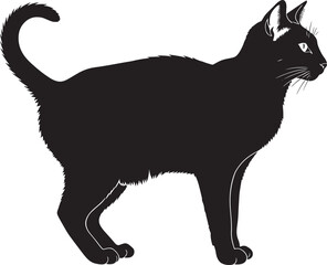 Black cat standing and looking sideways © Abul_Kashem