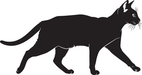 Black cat silhouette walking on white background © Abul_Kashem