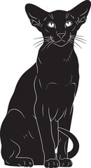 Beautiful black cat sitting alone © Abul_Kashem