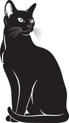 Black cat sitting and looking away from camera © Abul_Kashem