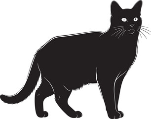 Black cat standing on white background © Abul_Kashem