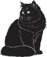 Beautiful black cat sitting alone with white eyes © Abul_Kashem