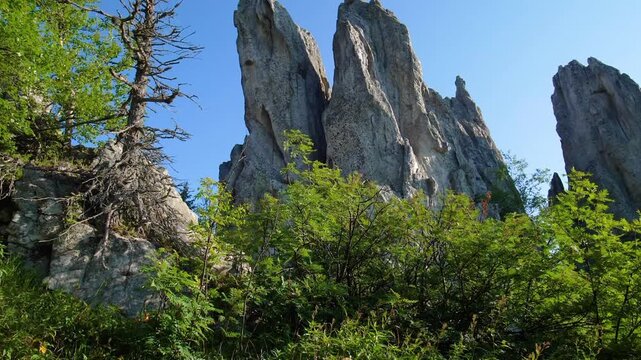 Footage of sharp high grey cliffs with jagged peaks and cracks, surrounded by lush green trees and bushes on a clear summer day in Taganai National Park, near Zlatoust, Russia. A popular destination f