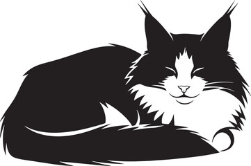 Black and white cat sleeping peacefully with eyes closed © Rulia