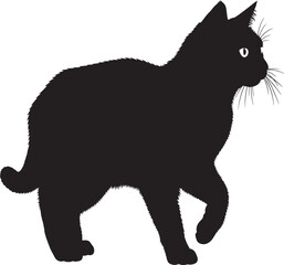 Black cat silhouette with white eyes on white background © Rulia