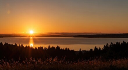 Sunrise over a tranquil lake, silhouetted trees line the shore
