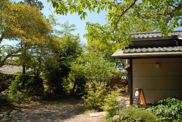 緑に囲まれた伝統的な家の外観風景