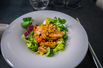 Elegant plated dish featuring grilled salmon with crunchy garnish atop fresh mixed greens, showcasing local cuisine along the Don Quixote Route in Spain.