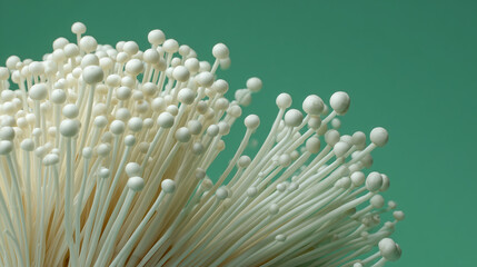 Unique Close-Up of Enoki Mushrooms Against a Green Background