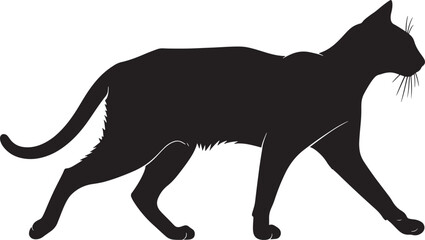 Black cat silhouette walking on white background © Rulia