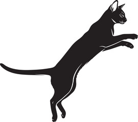 Black cat jumping in mid air with white background © Rulia
