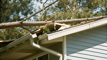 Tree falls on a house roof during storm concept. Tree damage on the roof of a house after a severe storm.