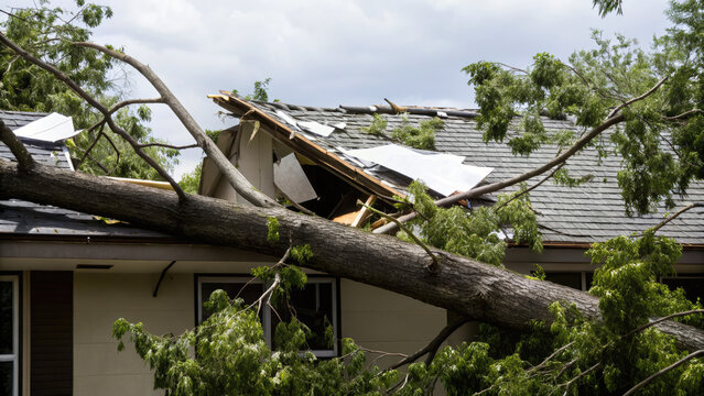Tree falls on a house roof during storm concept. Severe storm damage to a house with fallen tree and roof destruction.