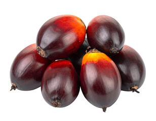 Obraz premium “Fresh Asian Palmyra Palm Fruits Cluster, isolated on a white background” 