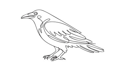 Obraz premium One continuous line illustration of an Crows , isolated on white background.