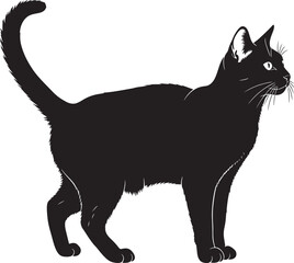 Black cat standing on white background © Rulia