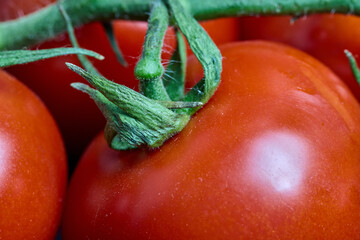 Close-up of Fresh Red Tomatoes on Green Vine