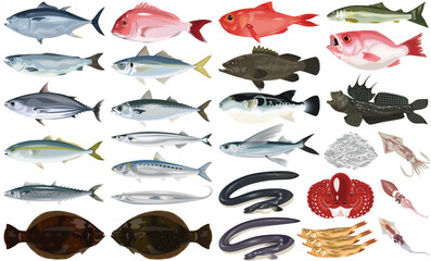 魚介類のイラスト・アイコン②（鮪、鯛、うなぎ、鮭、ふぐ）