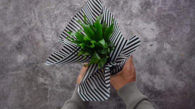 Gift wrapping a plant with simple materials