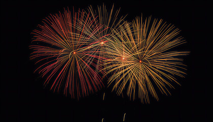 fireworks in the night sky