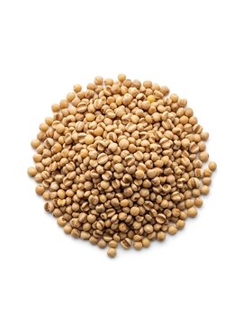 A small pile of dried job's tears grains against a clean white background, viewed from above