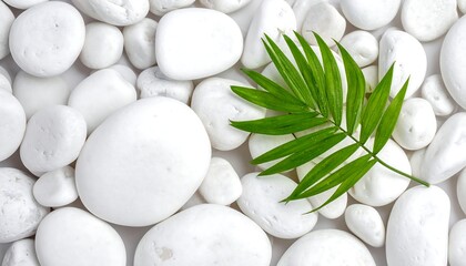 A close-up shot of smooth, white stones scattered with a vibrant green leaf, creating a natural and calming contrast