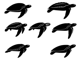 Collection of black sea turtle silhouettes on white background