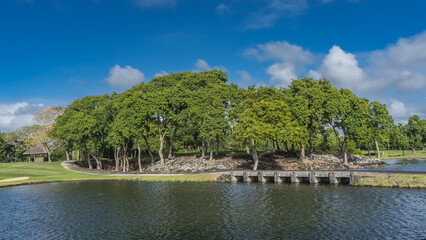 Obraz premium A lake in a tropical park. Stone pedestrian bridge over the water. Sprawling green trees on a hill. Gazebo on a manicured lawn. Blue sky, clouds.Mauritius.