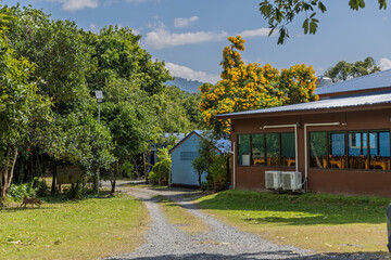 Obraz premium guesthouse building with large windows in khao yai, thailand, surrounded by greenery and flowering trees, gravel path leading to entrance