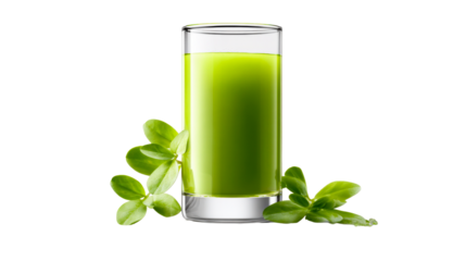 Refreshing vibrant green healthy juice beverage in a tall glass with fresh botanical leaves for health and wellness promotions and healthy lifestyle content