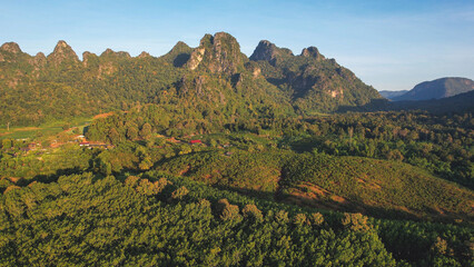 Aerial view from drone of the forest and mountains views