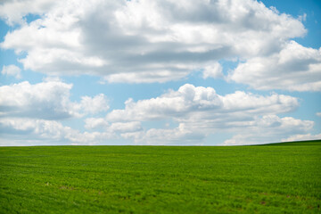 Green field blue sky cumulus clouds stretching across a beautiful vibrant summer landscape.