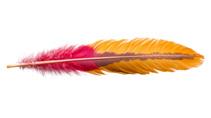 A stunning feather exhibiting a smooth color transition from delicate pink to vibrant orange with distinct brown patterns, ideal for decorative arrangements, graphic designs, or educational