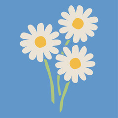 満開のデイジーの花3本のイラスト カモミールやハーブ系のシンプルな花のイメージ