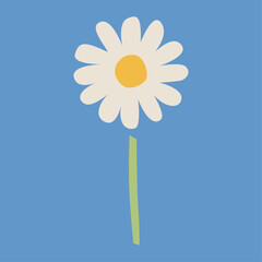 満開のデイジーの花のイラスト　カモミールやハーブ系のシンプルな花のイメージ