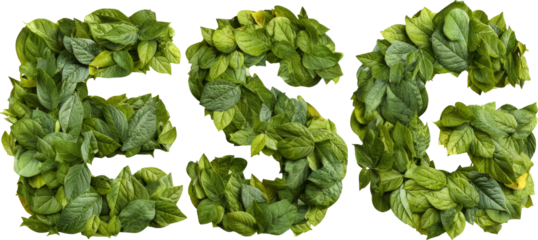 Sustainable Future: ESG Letters Formed by Green Leaves Symbolizing Eco-friendly Practices