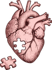 Human Heart Anatomy Drawing