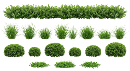 Collection of Green Garden Plants Isolated on White Background - Bushes, Grass, Shrubs