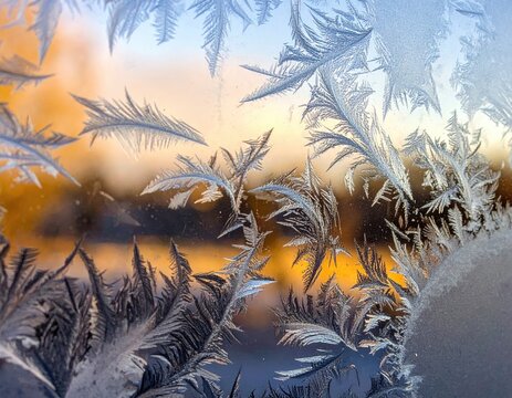 Close-up of frost crystals on a window pane, with an out-of-focus backdrop - Powered by Adobe