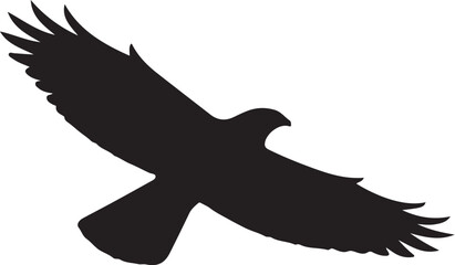 Black silhouette of a bird in flight with wings spread wide