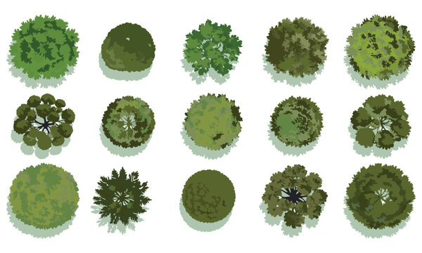 Top View Collection of Stylized Green Trees and Bushes with Shadows vector illutrastion transparent background